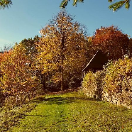 Parkhotel Schwarzenberg - Garni 외부 사진